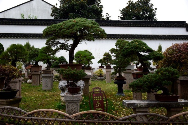 Zhouzheng-Yuan: Garten des bescheidenen Beamten