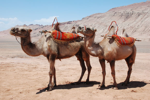 Klassische Seidenstra�e